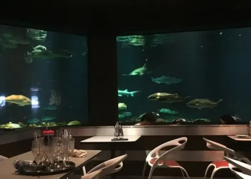 unique restaurants in orlando
